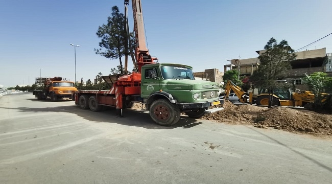 نجات 350 اصله درخت